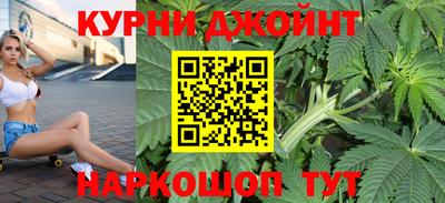гидра Гусев