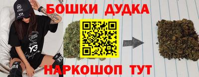 гашик Гусь-Хрустальный