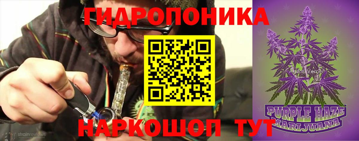 Канабис сатива  Марихуана план  Марихуана SATIVA & INDICA  Тавда  Марихуана конопля  Вход с VPN 